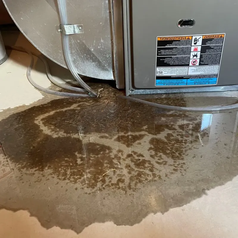 Pipe Burst and Leak Restoration in Benton, KY