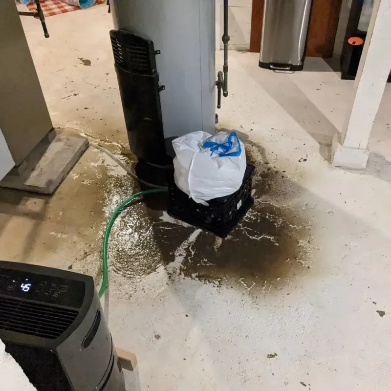 Sewage Backup Cleanup Service in Benton, KY